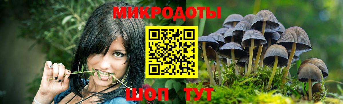 Астрахань  Галлюциногенные грибы ЛСД  Псилоцибиновые грибы Psilocybine cubensis  Вход с VPN 